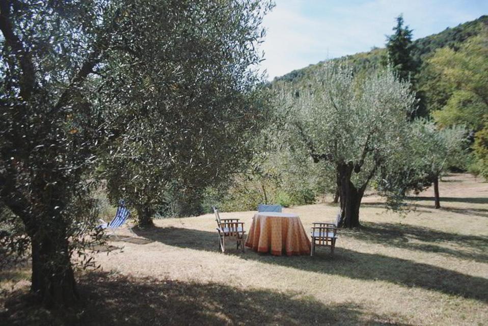 페트리그나노 Podere Gli Oppi Toscana 빌라 외부 사진