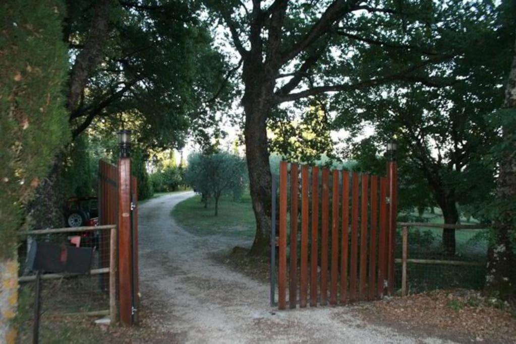 페트리그나노 Podere Gli Oppi Toscana 빌라 외부 사진